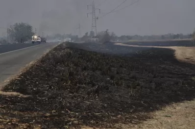 Alerta: vienen tiempos propicios para incendios