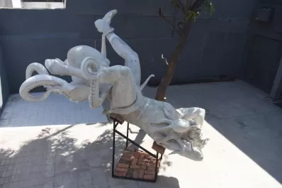 Una experiencia en el Museo Iramain