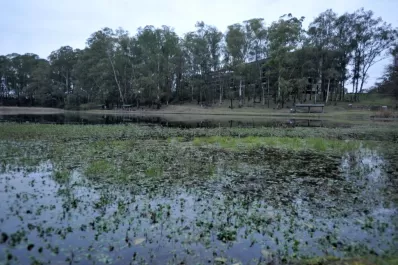 Las capas de la cebolla en la UNT