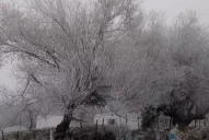 Garrotillo: una ruta cortada y mucho frío en Tafí del Valle