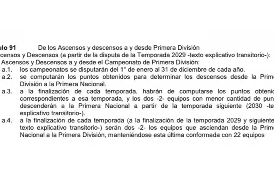 ¿QUÉ DICE EL ESTATUTO? Al comienzo de la temporada la AFA estableció el sistema de descensos desde la Liga Profesional.