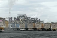 Zafra, azúcar y cifras al día