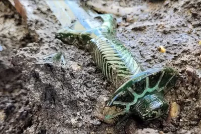 Como nueva: arqueólogos encontraron una espada con más de 3000 años de antigüedad