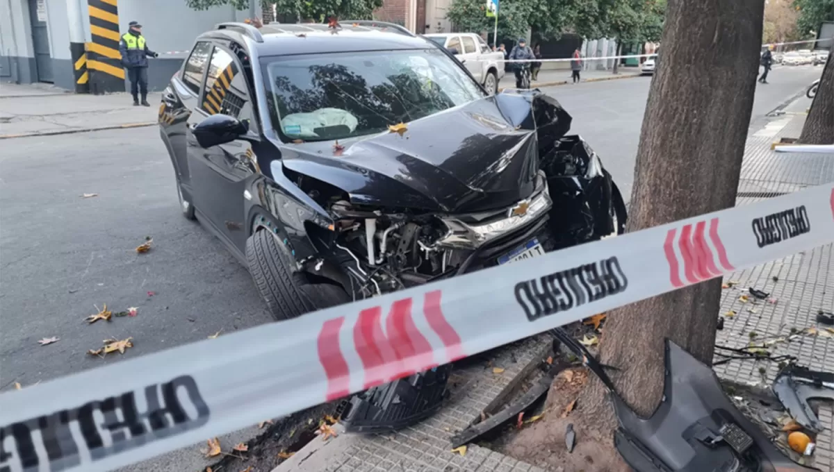 SIN VIDA. El conductor perdió el control de su camioneta y chocó contra un árbol.