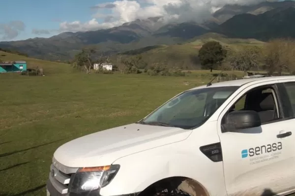 Confirman un paro de tres días en el Senasa y se paralizan las exportaciones desde el lunes