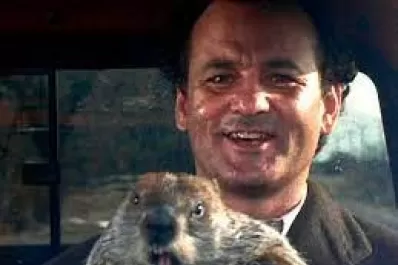 Entre el día de la marmota y Juan, el zorro