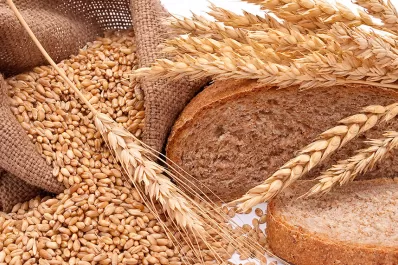 Sube 7,5% el valor de referencia del trigo y esto puede impactar en el precio del pan