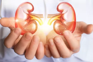 Cómo prevenir el cáncer de riñón, el quinto tumor más frecuente en nuestro país
