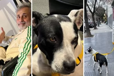 Jorge Rial adoptó una perra y le puso un insólito nombre: ¿una indirecta para Morena?