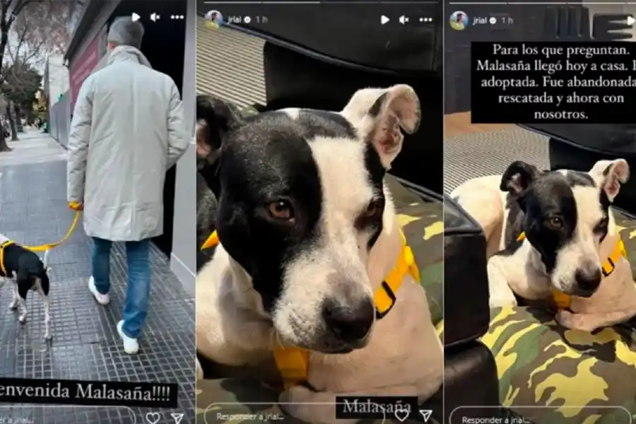 Jorge Rial contó la historia de su perrita Malasaña