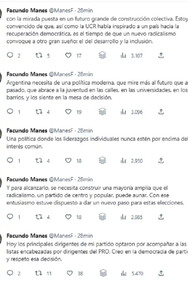 Facundo Manes se bajó de su precandidatura: cuáles fueron sus argumentos