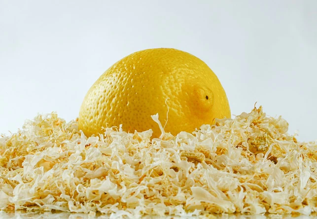 Cáscara húmeda de limón: socia de una industrialización rentable