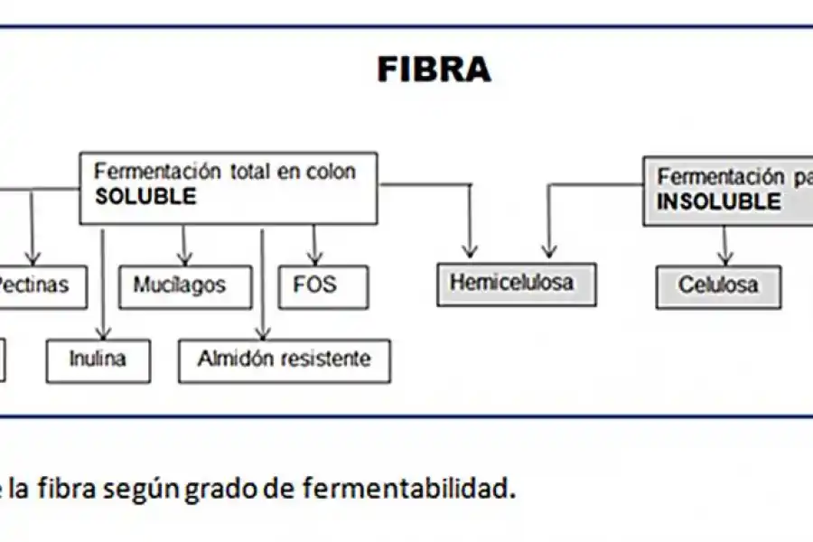 BENEFICIOS. La cáscara de limón es una excelente fuente de fibra dietética. 