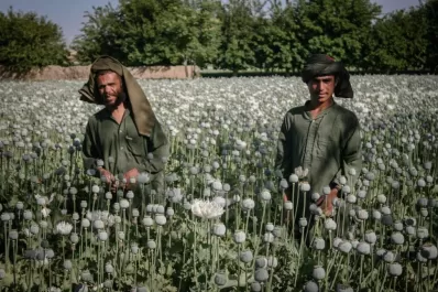 Aumenta el uso de drogas sintéticas en todo el mundo