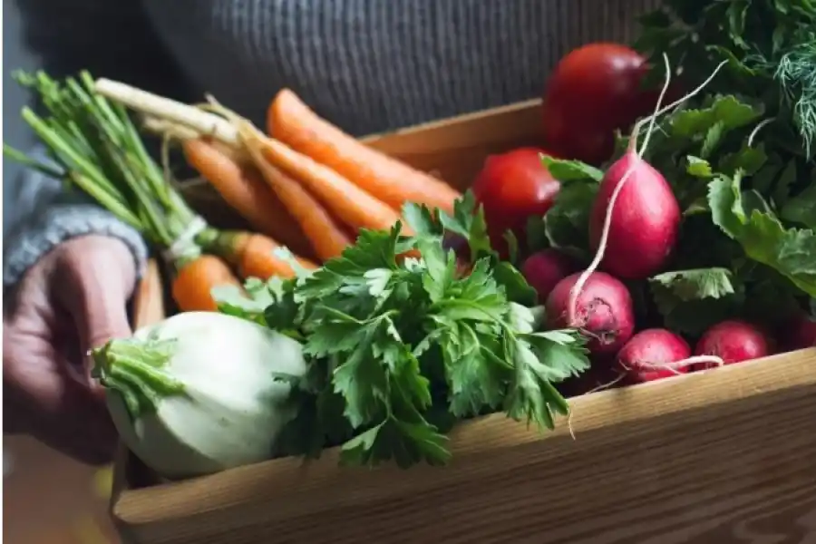 SEGÚN EL COLOR. Las frutas y verduras rojas son antioxidantes y previenen el envejecimiento celular; mientras las naranjas benefician al sistema inmune y a la piel. 