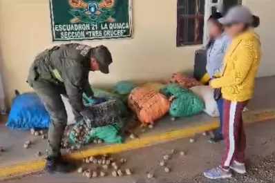 Llevaban hojas de coca dentro de bolsas de papa