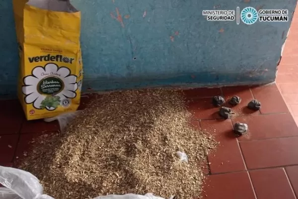 Escondió droga en la yerba