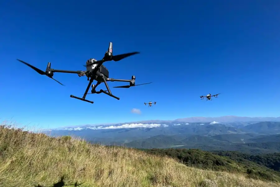 PROCESO. Primero se recolectan las semillas nativas, luego se las trabaja en laboratorio y en un tercer paso se las dispersará usando los drones.