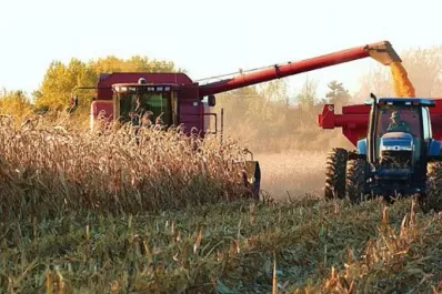 El 74,6% de la renta agrícola se la lleva el Estado