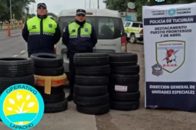 Secuestran en Tucumán neumáticos que habían sido ingresados ilegalmente al país