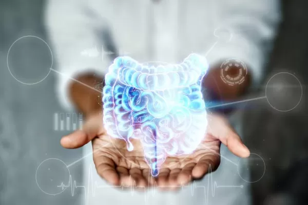 10 claves sobre la microbiota intestinal