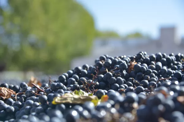 Bodegas tucumanas recibieron apoyo económico para desarrollar el enoturismo
