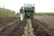 La Eeaoc llevó adelante una capacitación para los productores cañeros de Tucumán