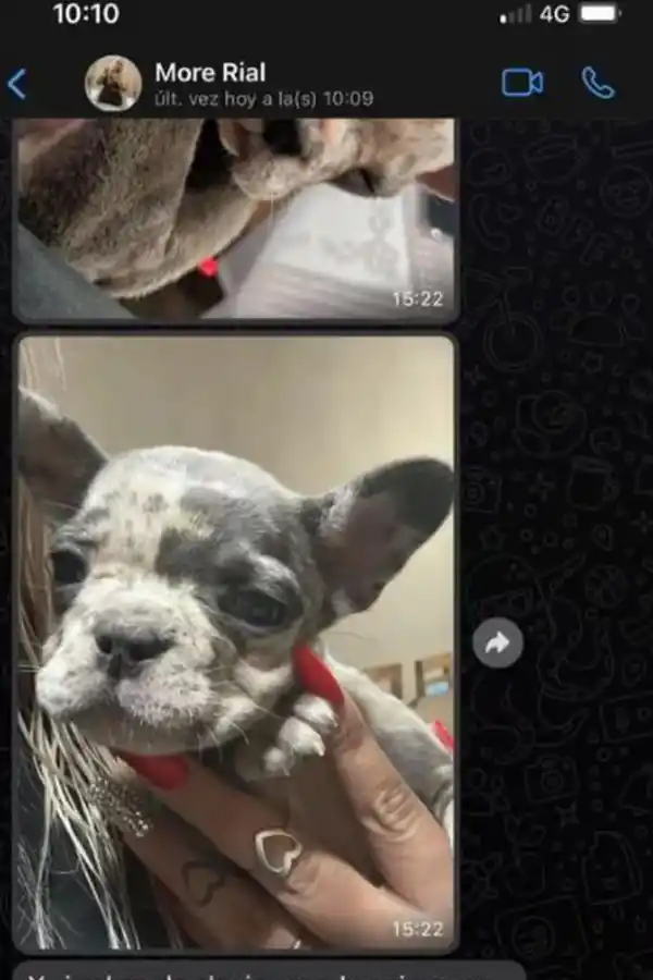 El mensaje que Morena Rial le habría enviado a un allegado