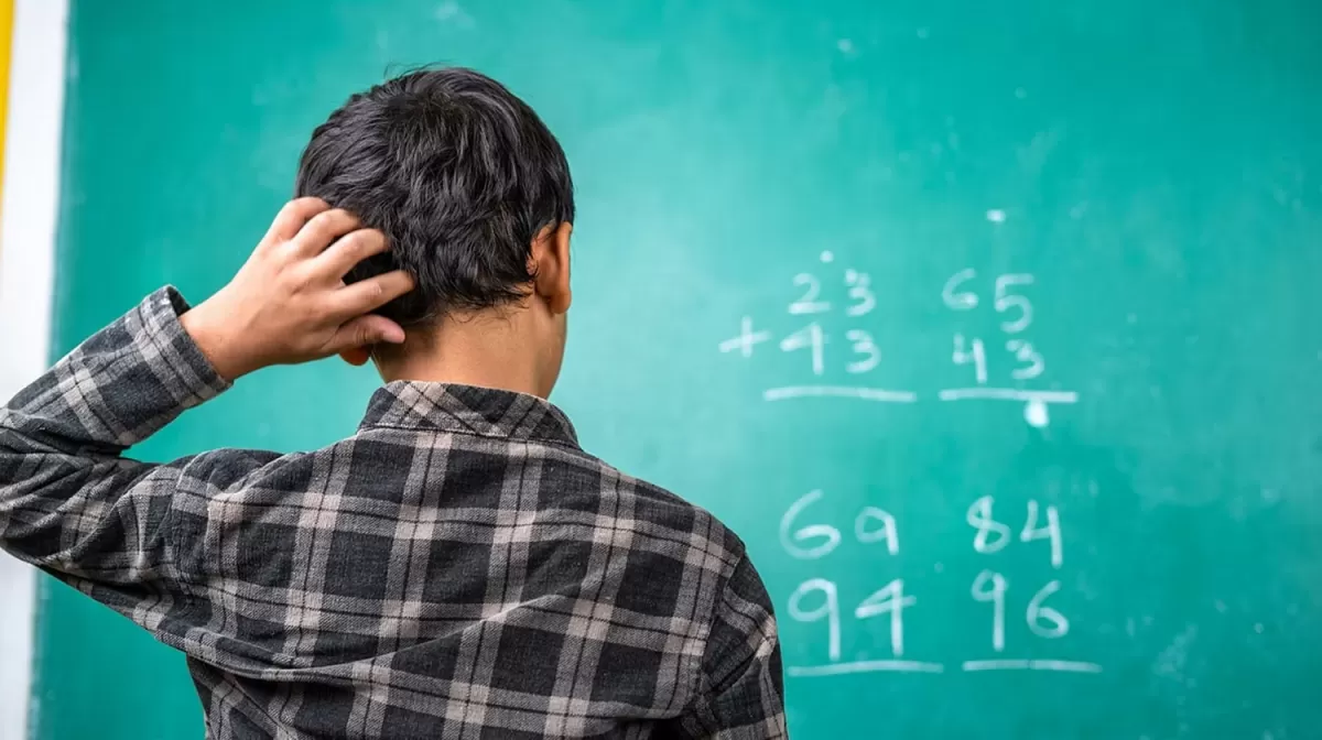 PROBLEMA. Los estudiantes argentinos terminan el secundario, en su mayoría, sin comprender las Matemáticas. 