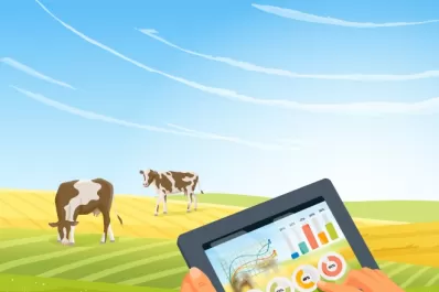 Reporte Rural: datos, el pilar para una buena decisión