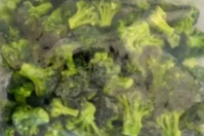 Compró brócoli y cuando lo abrió en casa tuvo una sorpresa que lo horrorizó