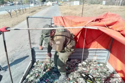 Contrabando en Tucumán: detectan 380 kilos de hojas de coca ocultos entre vidrio molido
