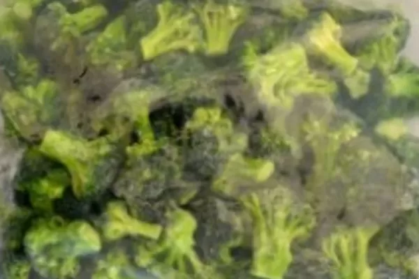 Compró brócoli y cuando lo abrió en casa tuvo una sorpresa que lo horrorizó