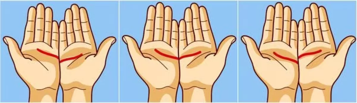 Observa tus manos y luego lee las respuestas.