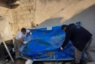 Dengue: continúan los operativos preventivos