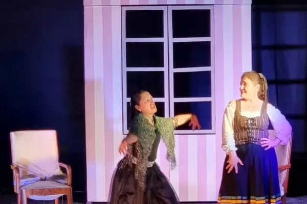 Divertidos enredos en el palacio del Conde de Almaviva