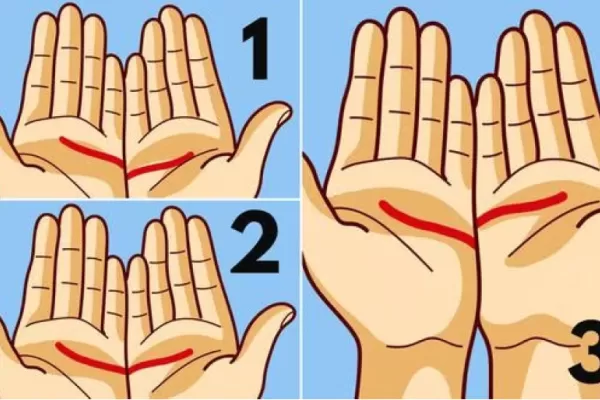 Test viral: la unión de las líneas de tus manos revelará cuáles son tus objetivos en el amor