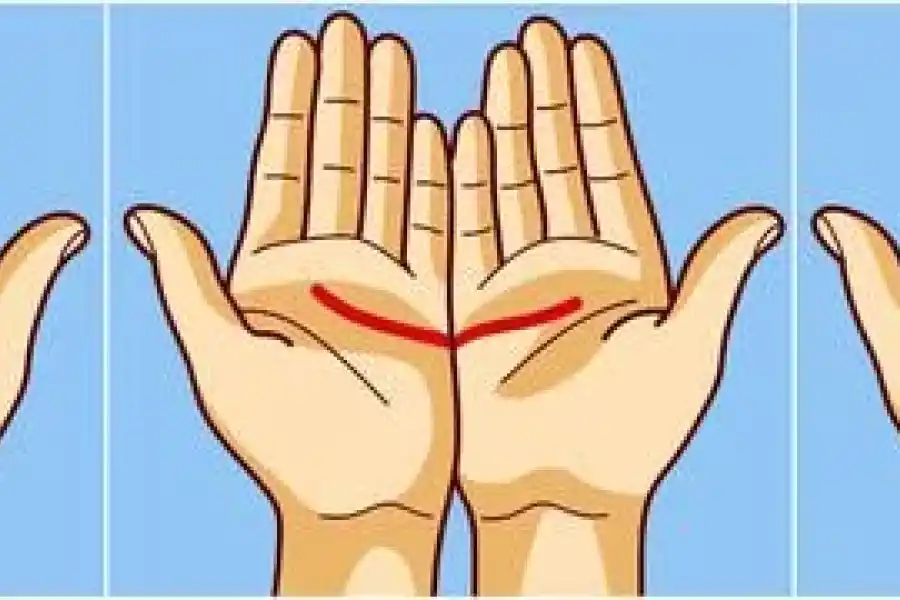 Observa tus manos y luego lee las respuestas.