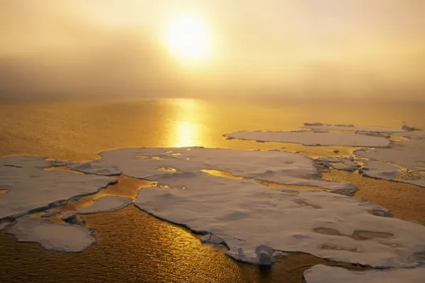 Cambio climático: se registró la temperatura más alta del planeta en el mes de junio