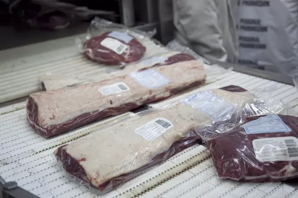 La Nación confirmó la apertura de dos mercados para la exportación de carne y genética bovina