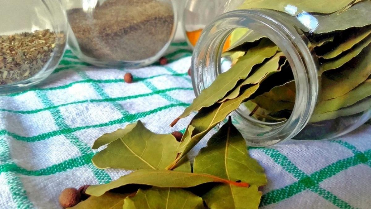 Cómo es el ritual de azúcar y hojas de laurel para atraer abundancia en