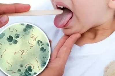 La advertencia del Ministerio de Salud: crece la presencia de una bacteria que puede llegar a ser mortal