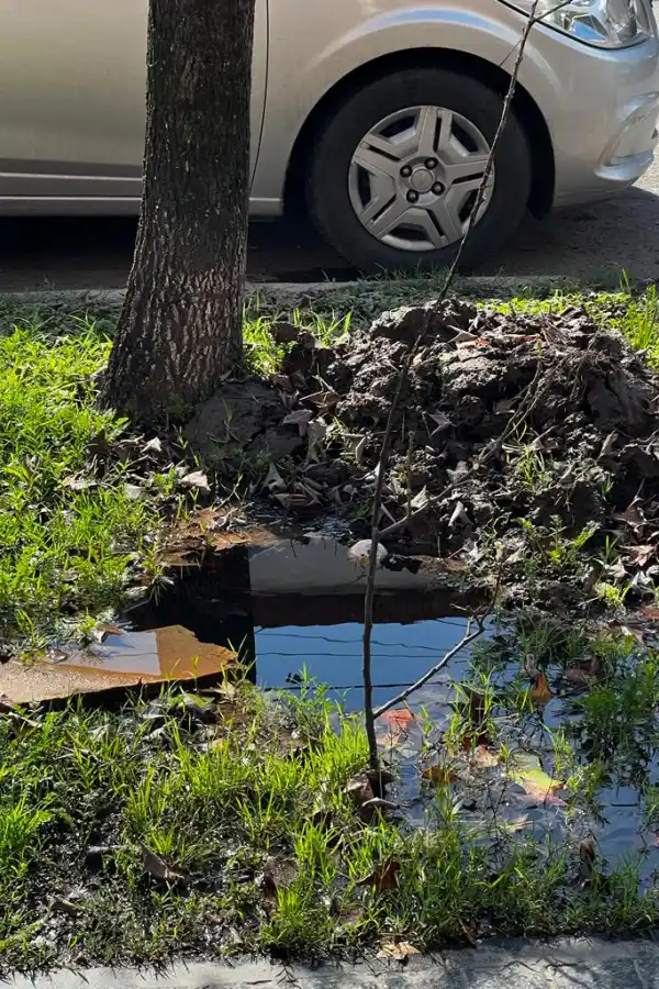 LA GACETA en WhatsApp: cuatro pérdidas de agua en la ciudad