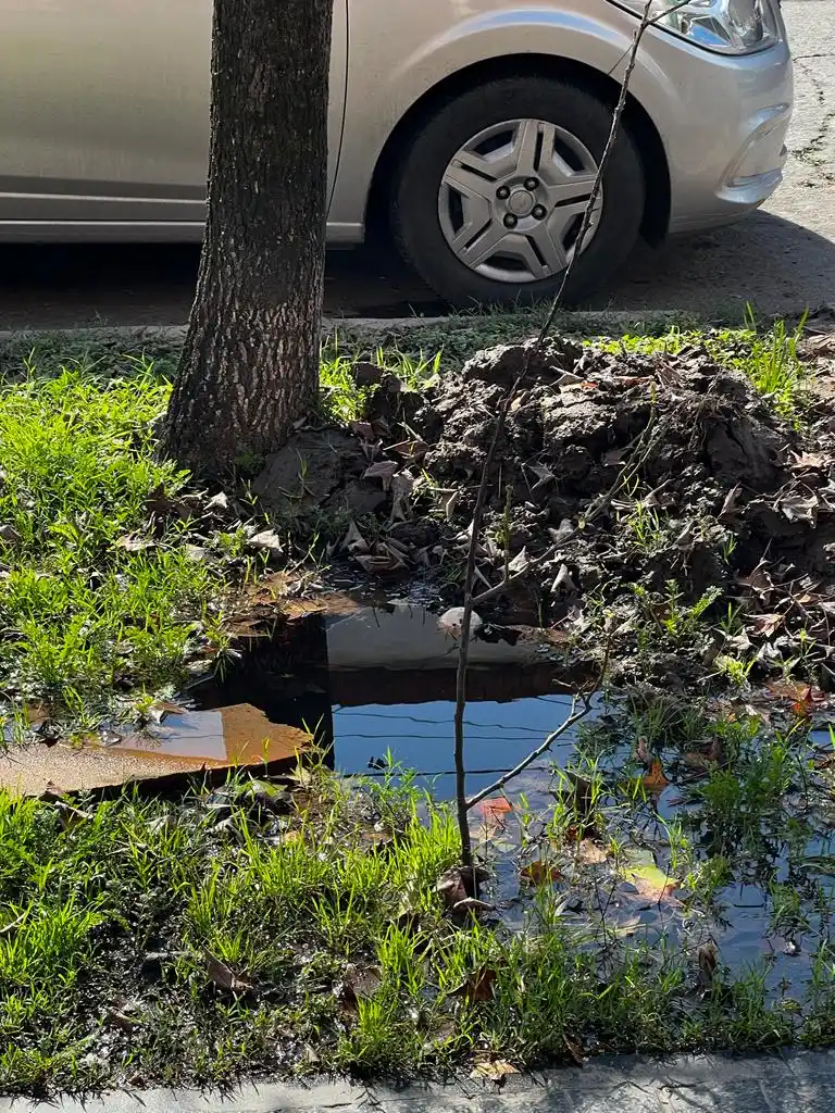 LA GACETA en WhatsApp: cuatro pérdidas de agua en la ciudad