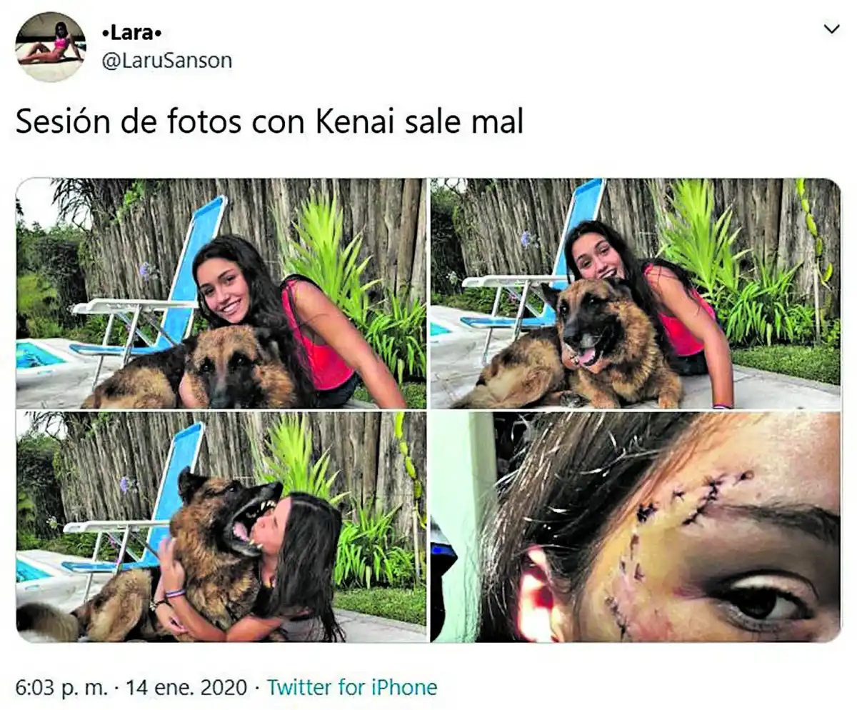 Cuando muerde un perro, es obligación denunciar