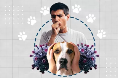 El aumento de las zoonosis amenaza la salud pública global