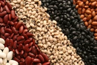 “El mercado de legumbres puede seguir creciendo”