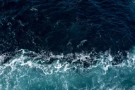 ¿Por qué los océanos están modificando su color y cómo influye el cambio climático?