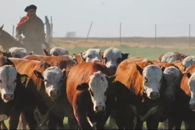 Ganadería: una actividad clave en el país