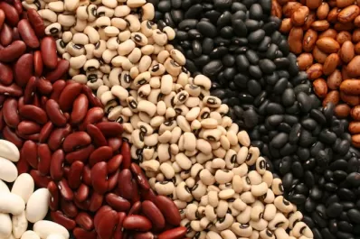 “El mercado de legumbres puede seguir creciendo”